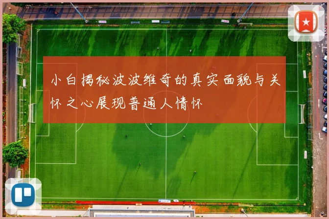 小白揭秘波波维奇的真实面貌与关怀之心展现普通人情怀