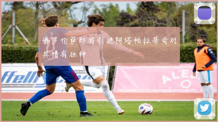 佛罗伦萨即将引进阿塔帕拉蒂奇对其情有独钟